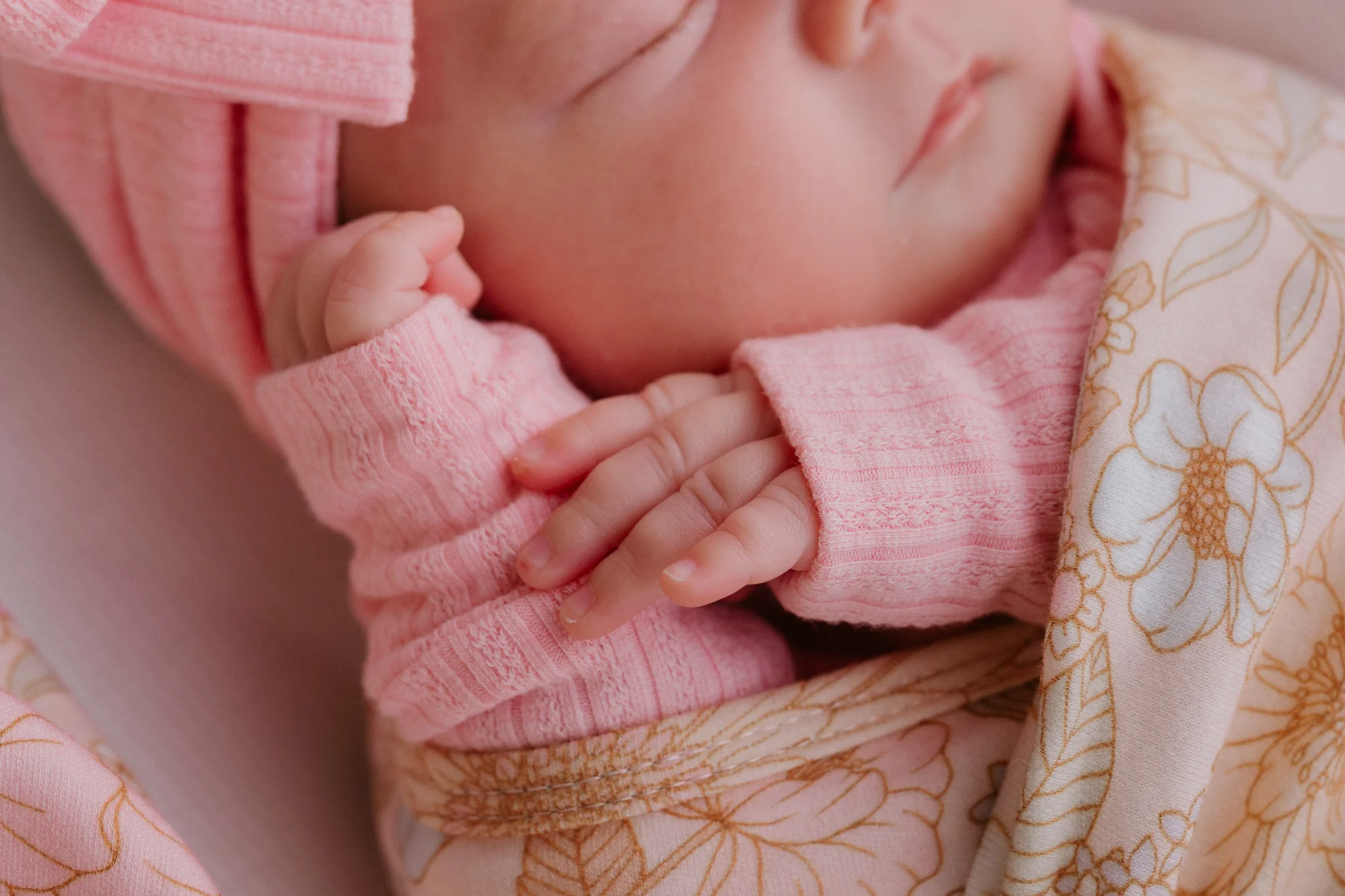 Frill Zip Romper | Peony Rib Pointelle - Image 12